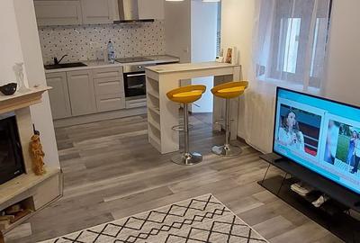 Casa cocheta de inchiriat Kiseleff Aviatorilor, 3 min parc Herastrau si metrou - 2
