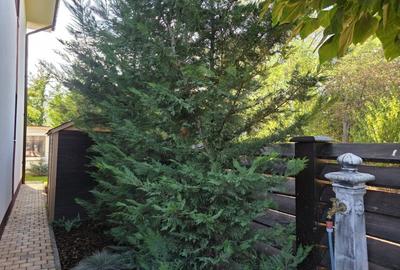 Casă individuală cu 4 camere cu Teren 400 Mp în Corbeanca - 25