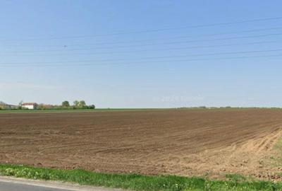 Valul lui Traian, teren intravilan 10000mp/160m, la intrare in localitate - 3