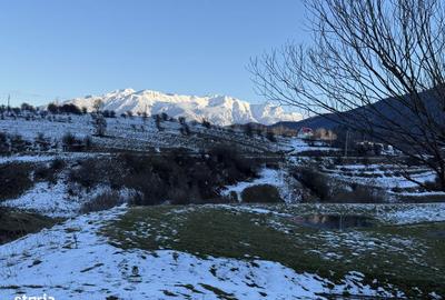Spațiu comercial, în Central - 7
