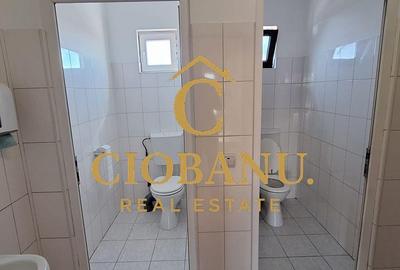 Spațiu comercial, de 1,030 mp, în Ișalnița - 13