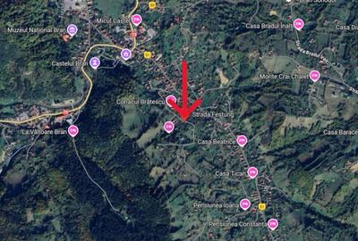 REL4001158 Teren de vanzare in Bran I Festung - 3