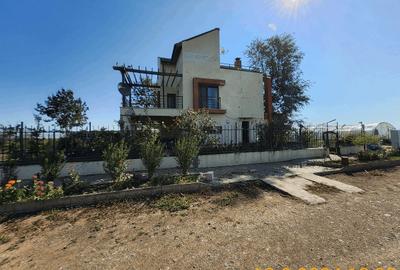 Deschidere 20m la DJ412 P+1+M PUZ utilitati Deschidere 20m la DJ412 P+1+M PUZ utilitati - 3