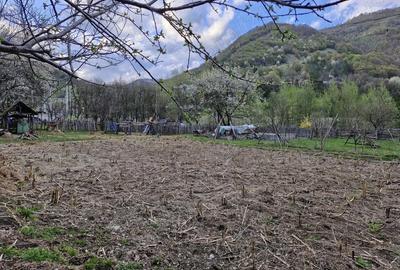 Casă în Ciungetu - 3