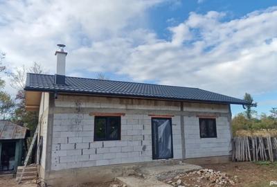 Casă cu 4 camere cu Teren 1800 Mp în Bârsoiu - 4