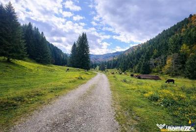 Teren în Zărnești - 5