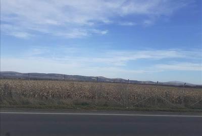 Vanzare teren intravilan, Feldioara, Brasov - 4