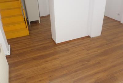 FLOREASCA, Ultracentral, spatiu in curte, la casa, - 8