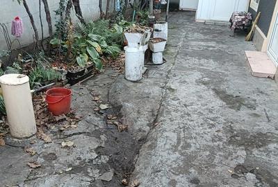 Casă cu 4 camere cu Teren 255 Mp în Chercea - 3