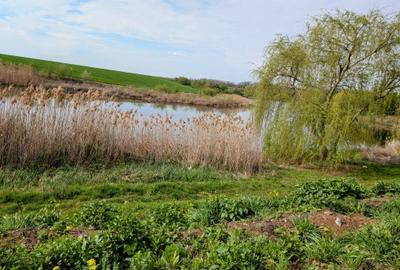 Paradisul Verde-Corbeanca,intravilan,10300mp,deschidere lac-120m,view deosebit - 2