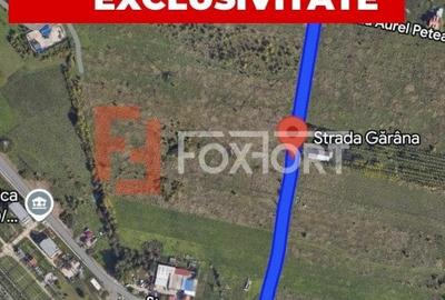 COMISION 0% Teren intravilan de 9250 mp - Toate utilitatile, zona Plopi - 1