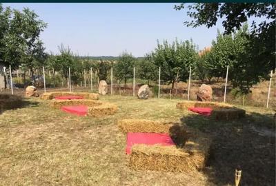 Casă cu 4 camere cu Teren 800 Mp în Sârbova - 1