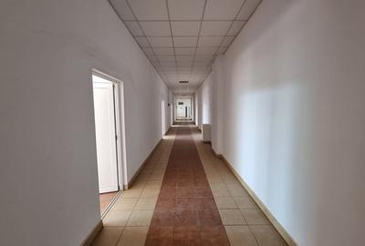 Spații de logistică și depozitare  – Locație strategică și acces facil InCity - 11