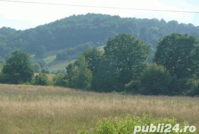 Teren de 10000 mp, în Râșnov - 4