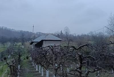 Casă cu 3 camere cu Teren 2800 Mp în Central - 14