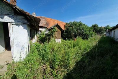 Liubcova - casa cu teren , 500mp !!! - 3