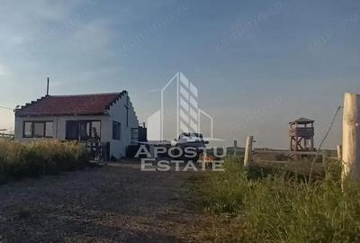 Farmhouse la 14km de Timisoara, teren agricol 1ha - 3
