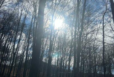 Spațiu comercial, în Borod - 1