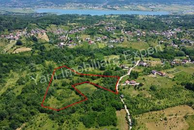 Teren de 20698 mp, în Valea lui Enache - 8