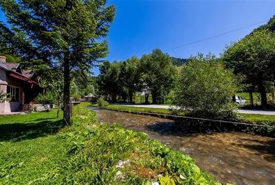 Oaza rustica: Case si teren generos de 9.400 mp in Dambovicioara, Arges Oaza rustica: Case si teren generos de 9.400 mp in Dambovicioara, Arges - 31