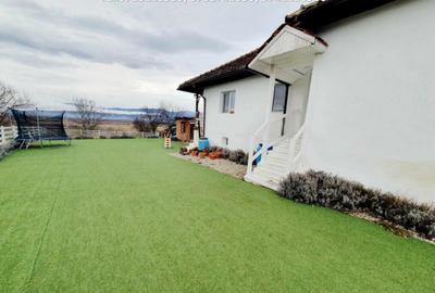 Inchiriere casa cocheta, situata in Tetila (Curti?oara Go - 26