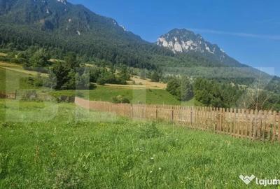 Teren de 1004 mp, în Zărnești - 8