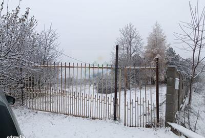 Casă cu 4 camere cu Teren 4863 Mp în Coșna - 4