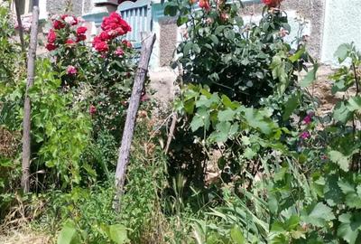 Casă cu 3 camere în Berca - 4