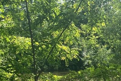 Spațiu comercial, în Vicovu de Sus - 3