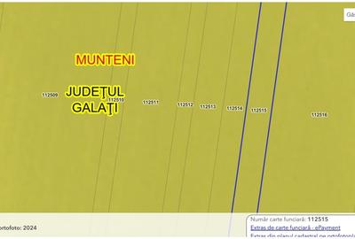 Teren agricol extravilan de 10098 mp, în Munteni - 5