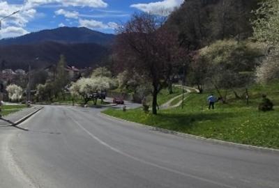 Casă individuală cu 3 camere cu Teren 232 Mp în Centrul Istoric - 1