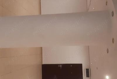 Spațiu comercial, de 88 mp, în Griviței - 3