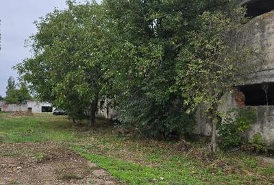 Hala , SC total 2048 MP , P+E, trifazic , teren 2000 mp, zona Borsului - 12