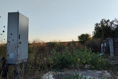 Ciolpani, spre Izvorani - COR, vanzare teren 5000mp. - 9
