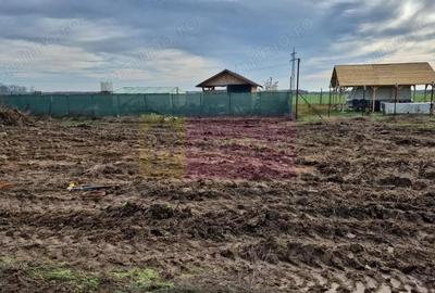 Teren aproape de Bucuresti langa padure intre case - 2