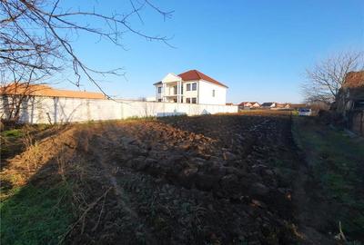 Teren de 2886 mp, în Coșteiu - 4