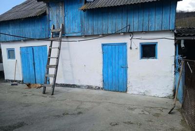 Casă cu Teren 1200 Mp în Central - 1