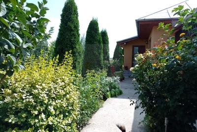 Casă individuală cu 3 camere cu Canalizare în Hănțești - 26