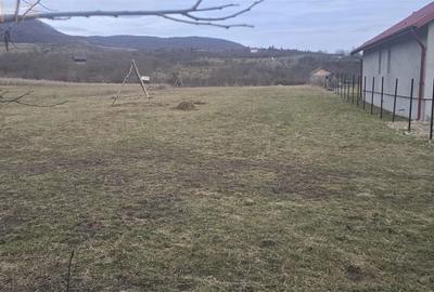 Spațiu comercial, în Șieu - 1