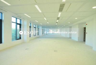 Spațiu comercial, de 800 mp, în Timpuri Noi - 2