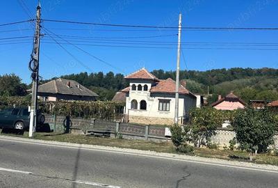 Vand casa in sat Ceauru, comuna Bale?ti, strada principala - 4