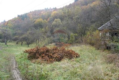 Teren 35,232mp Sighetu Marmatiei / Strada Valea Cufundoasa - 6