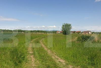 Parcele de teren cu PUZ in lucru in Stupini, de la 475 mp, p - 2