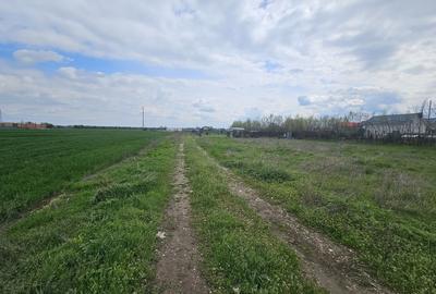 Magurele, Varteju - 2