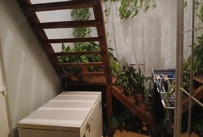 Casă cu Teren 18000 Mp în Vaida-Cămăraș - 4