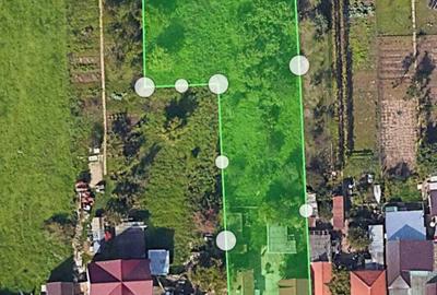 Casă cu 5 camere cu Teren 2023 Mp în Aradul Nou - 3