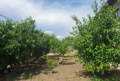 Vila de vanzare Str. Duzilor, mun. Tecuci, jud. Galati. Vila de vanzare Str. Duzilor, mun. Tecuci, jud. Galati. - 8