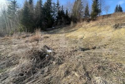 Teren de 1500 mp, în Central - 4