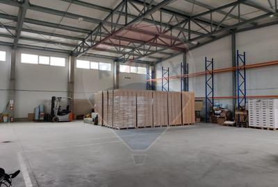 Hala noua de inchiriat in Ilia , jud Hunedoara la 3 km de A1 - 4