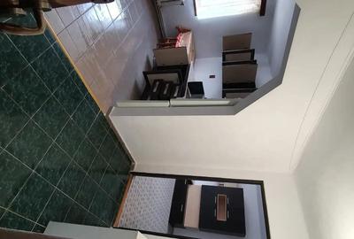 Apartament cu 2 camere nedecomandat în Cetate - 3